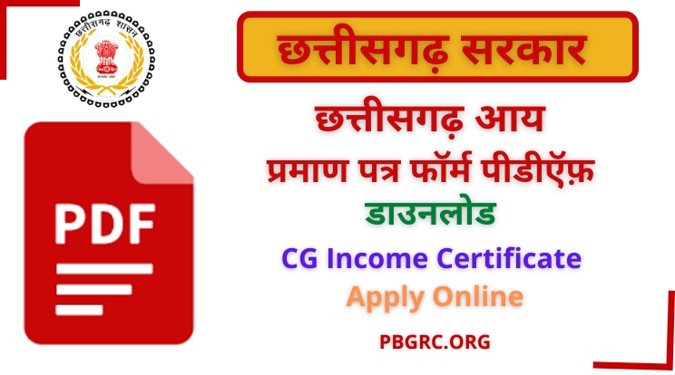 CG Income Certificate Form PDF