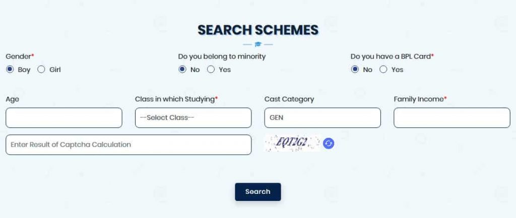 search Schemes