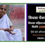 Widow Pension Scheme Delhi