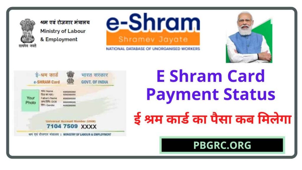 e Shram payment status check