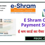 e Shram payment status check