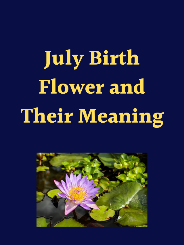 July Birth Flower and Their Meaning