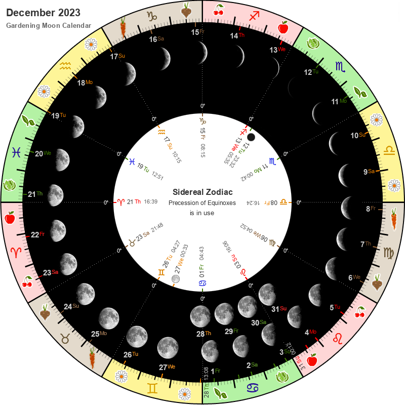 2023 December Moon Phases Calendar