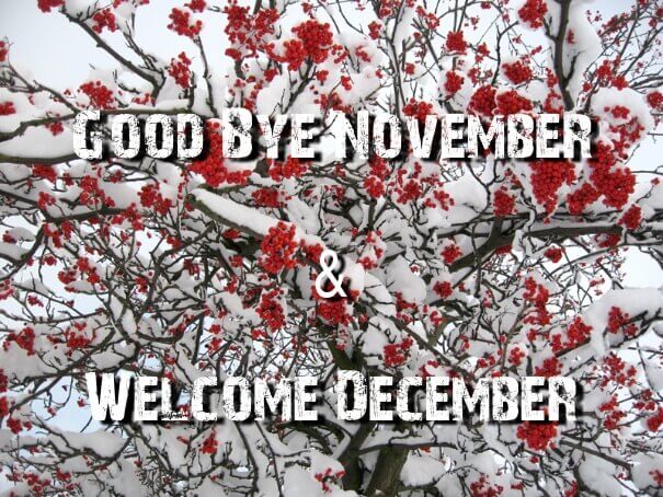 Goodbye November Hello December Images and Quotes
