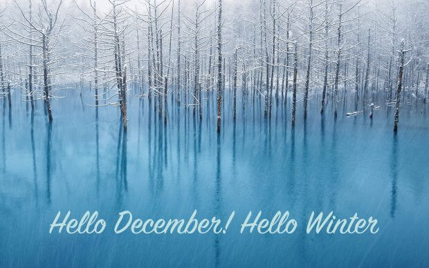 Hello December Wallpaper HD