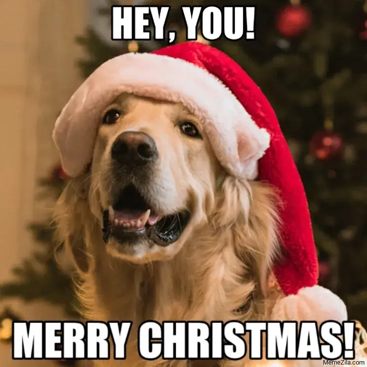 Beautiful Merry Christmas Memes