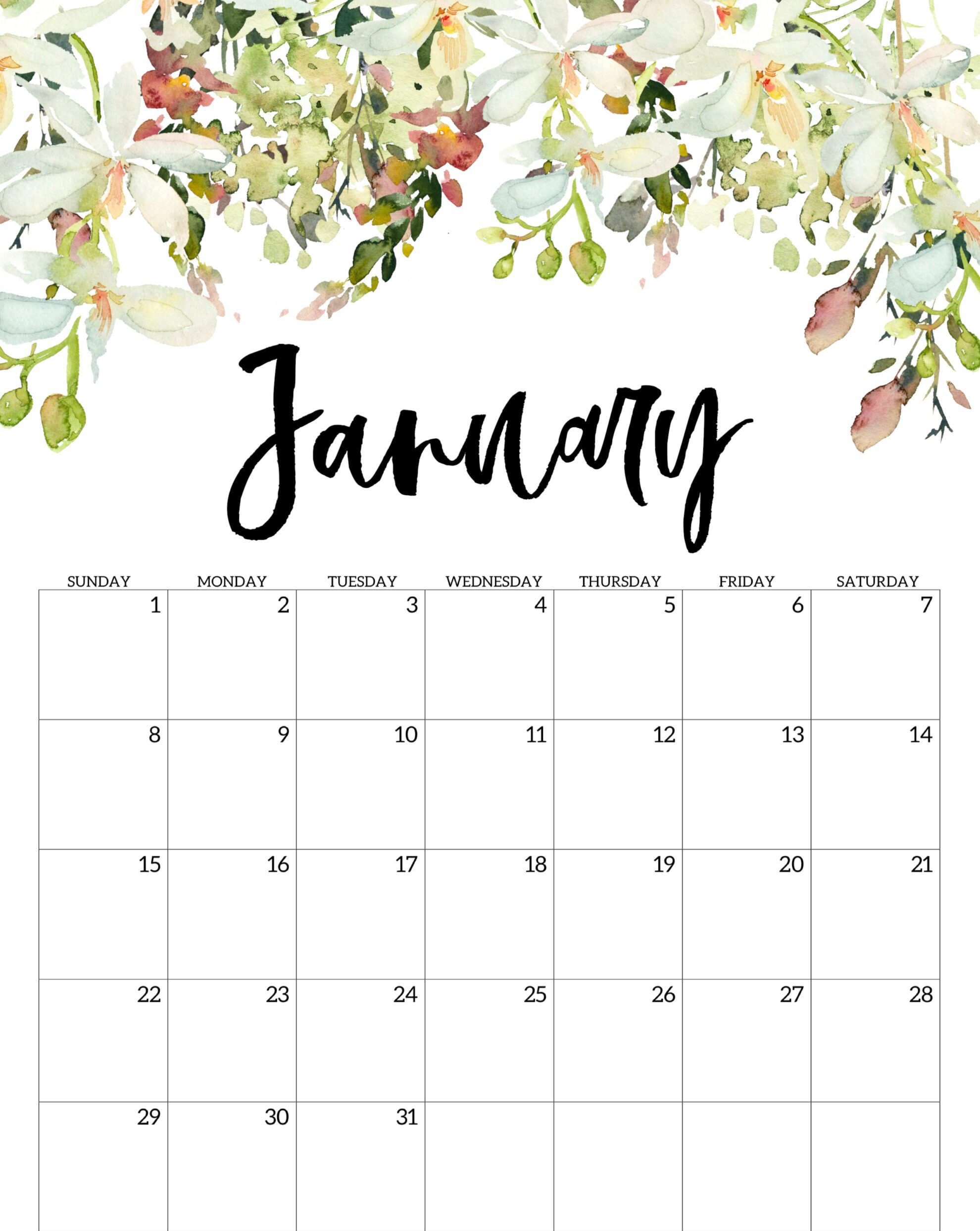 Floral January 2023 Calendar Cute Design