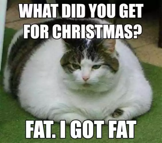 Hilarious Merry Christmas Memes