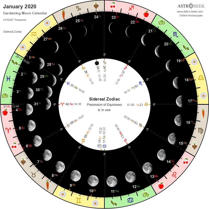 January Lunar 2023 Calendar Template