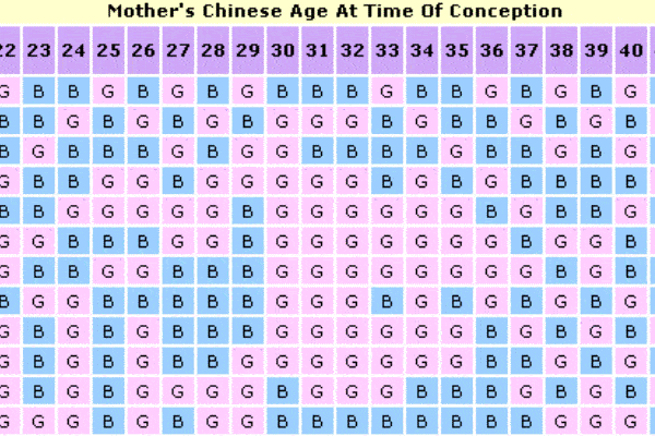 2023 Chinese Birth Calendar
