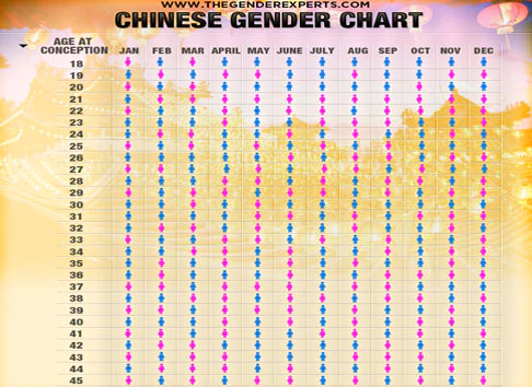 Chinese Birth 2023 Calendar Template