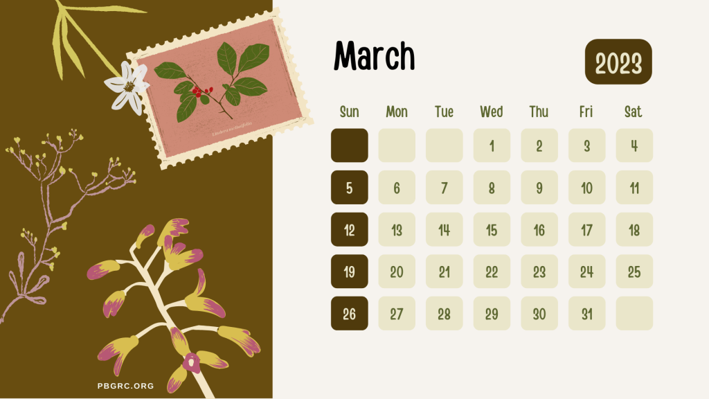 Fillable March 2023 Calendar Printable