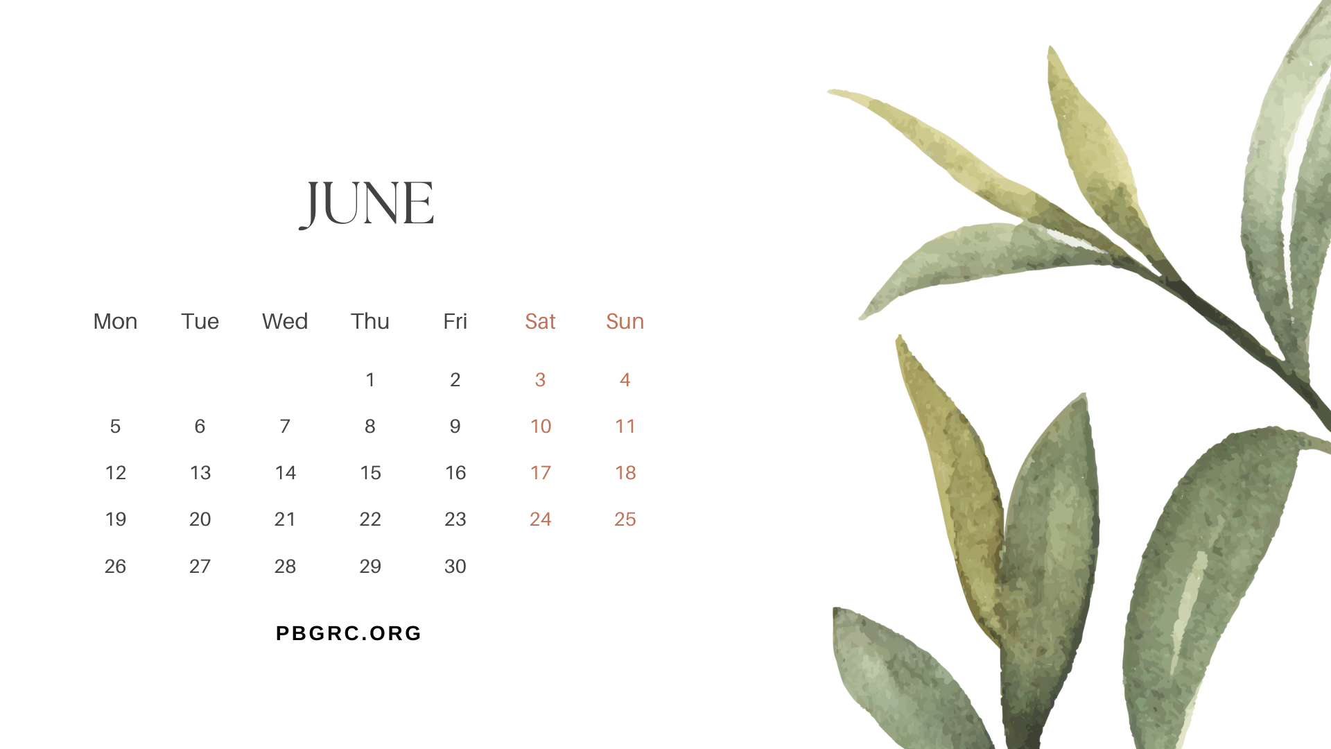Floral June 2023 Calendar