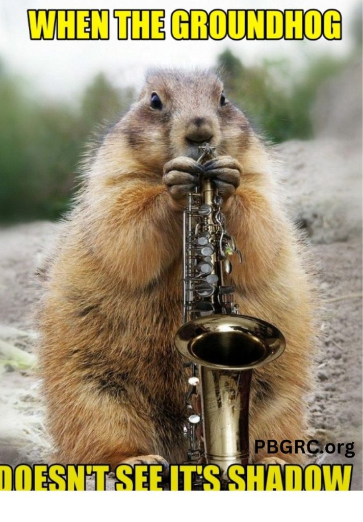 Free Happy Groundhog Day Funny Meme