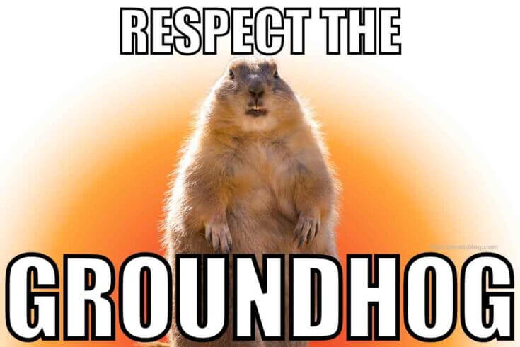 Funny Groundhog Memes