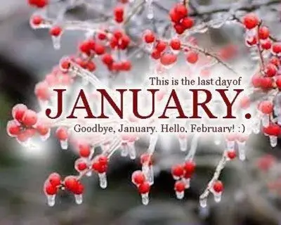 Goodbye January hello February images