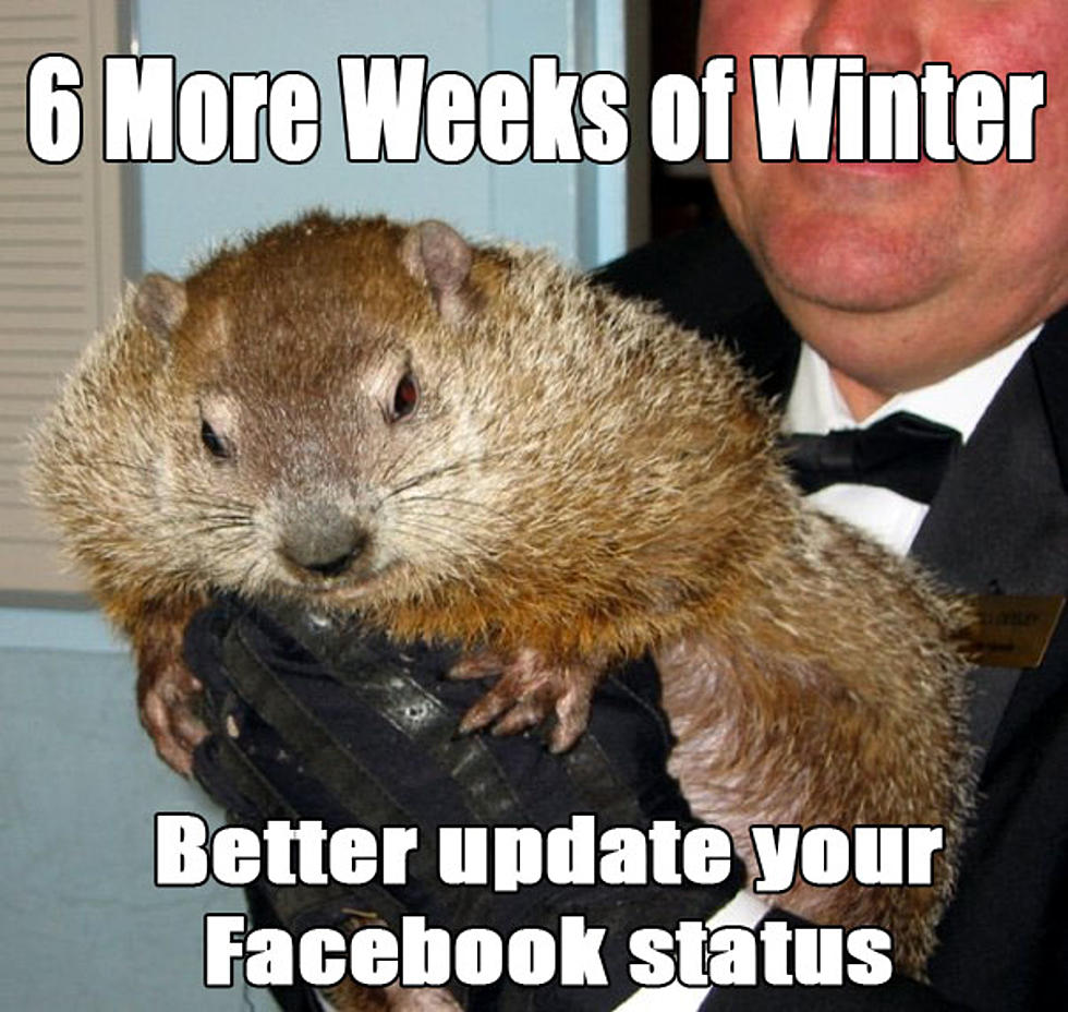 Groundhog Day 2023 Memes