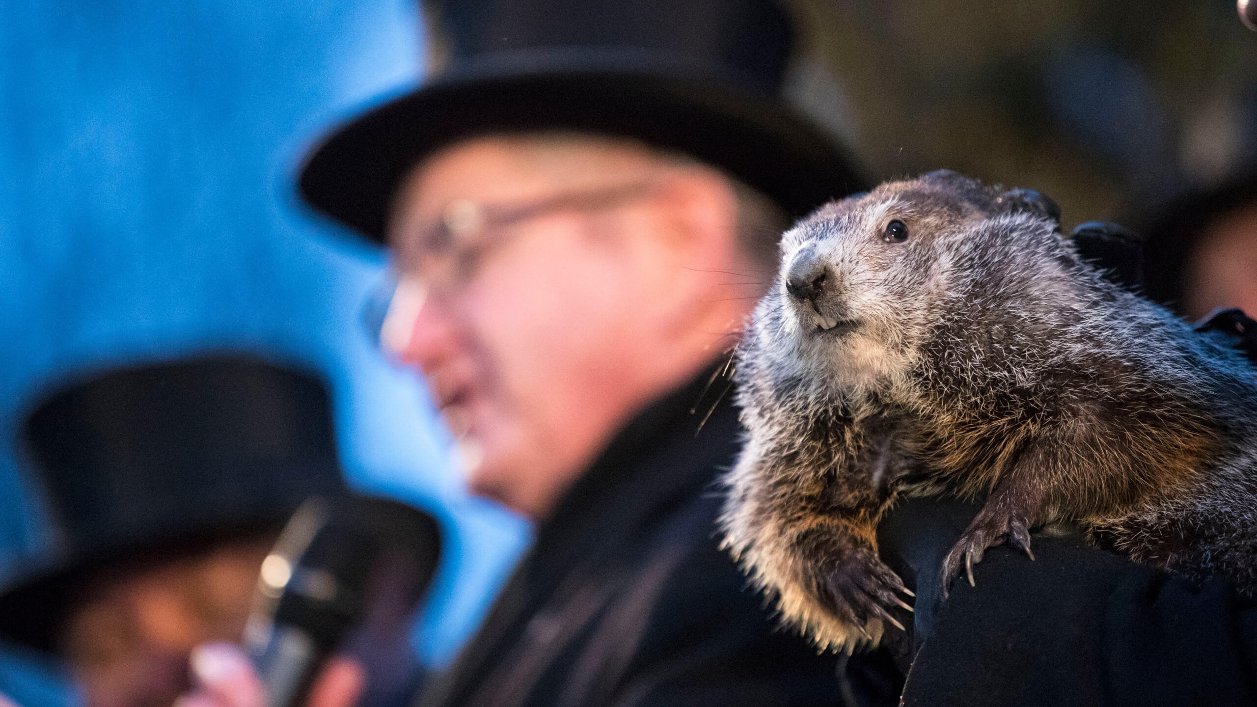 Groundhog Day 2023 Images