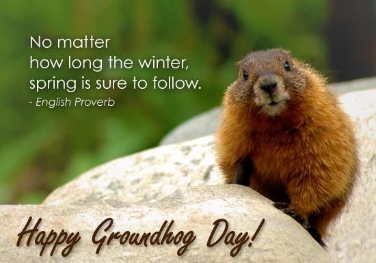 Groundhog Day Sayings