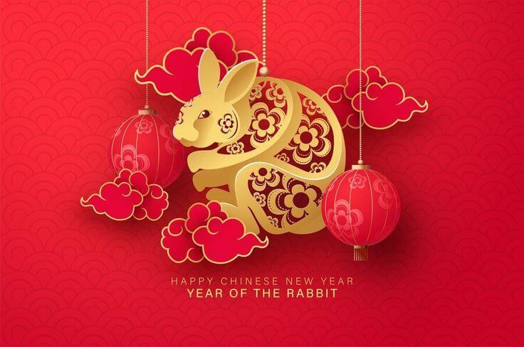 Happy Chinese New Year Photos