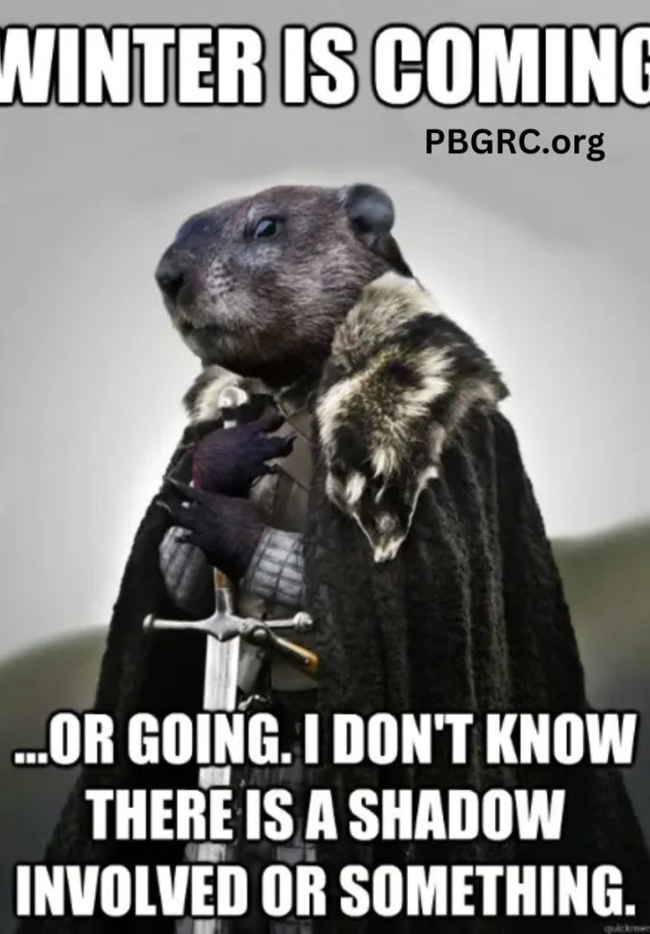 Happy Groundhog Day Funny Free Meme