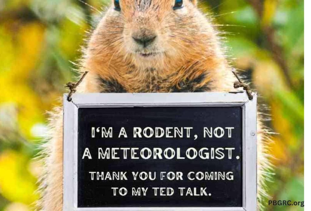 Happy Groundhog Day Funny Meme