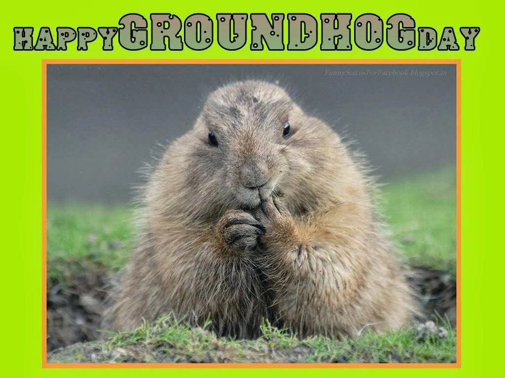 Happy Groundhog Day Greetings Card