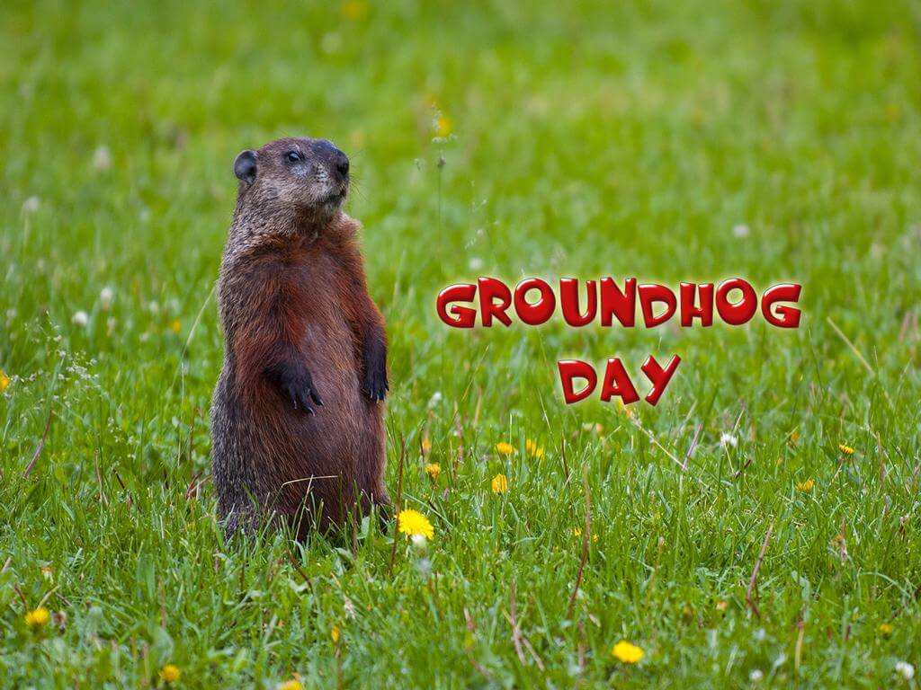 Happy Groundhog Day Images