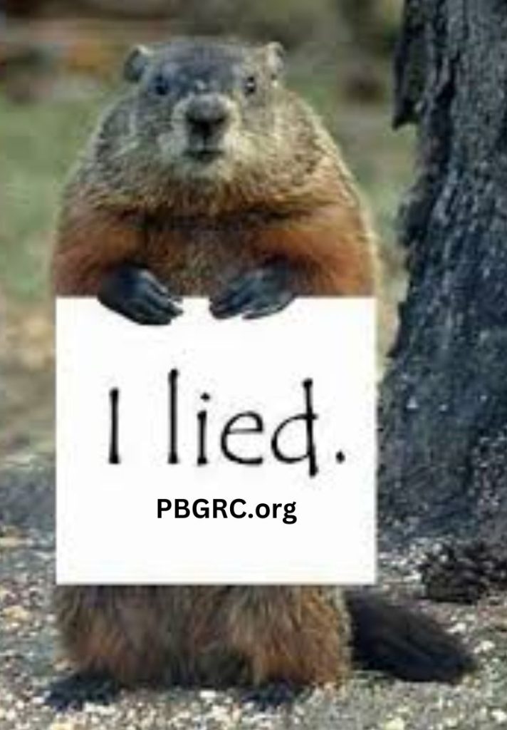 Happy Groundhog Day Meme Of 2024