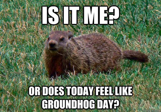 Happy Groundhog Day Memes