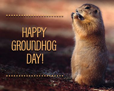 Happy Groundhog Day Wallpaper HD