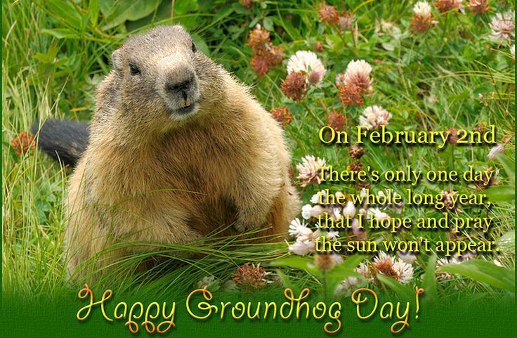 Happy Groundhog Day Wishes and Images