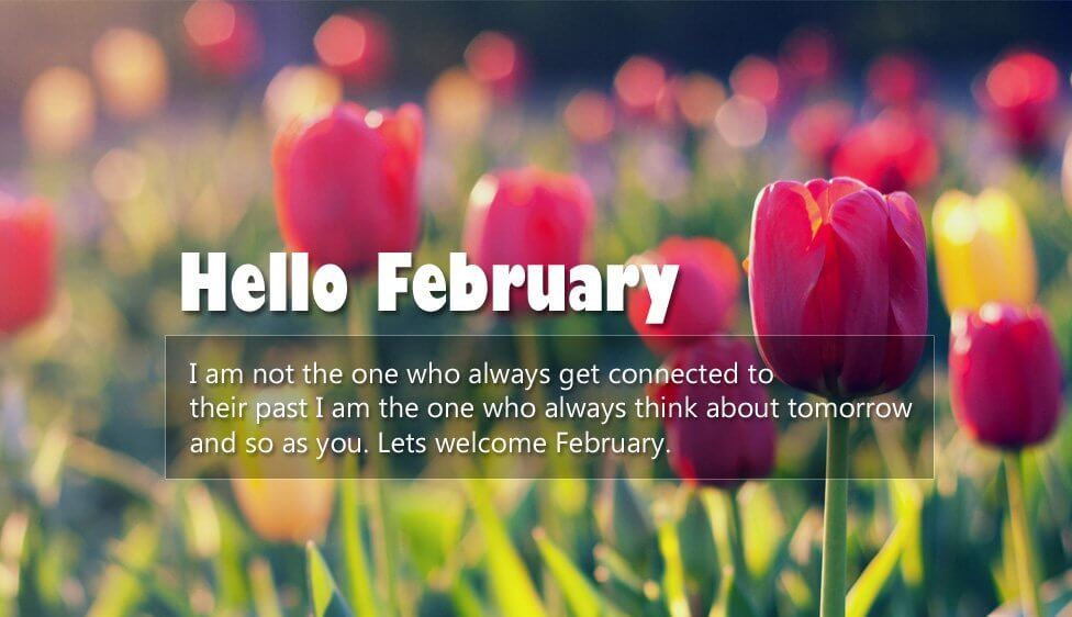 Hello February Sayings