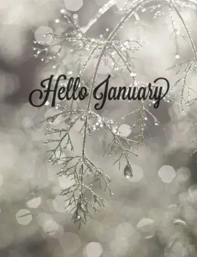 Hello January 2023 Pictures