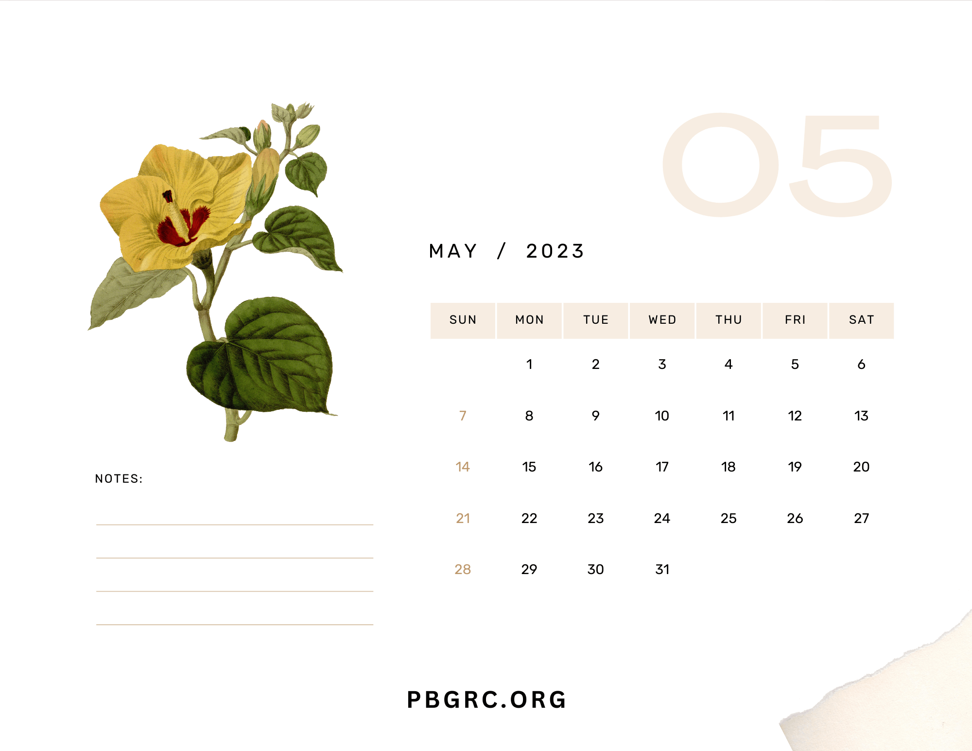 May 2023 Floral Calendar