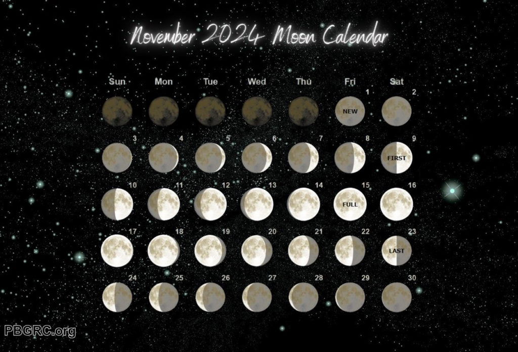 Moon Phases November 2024 Calendar