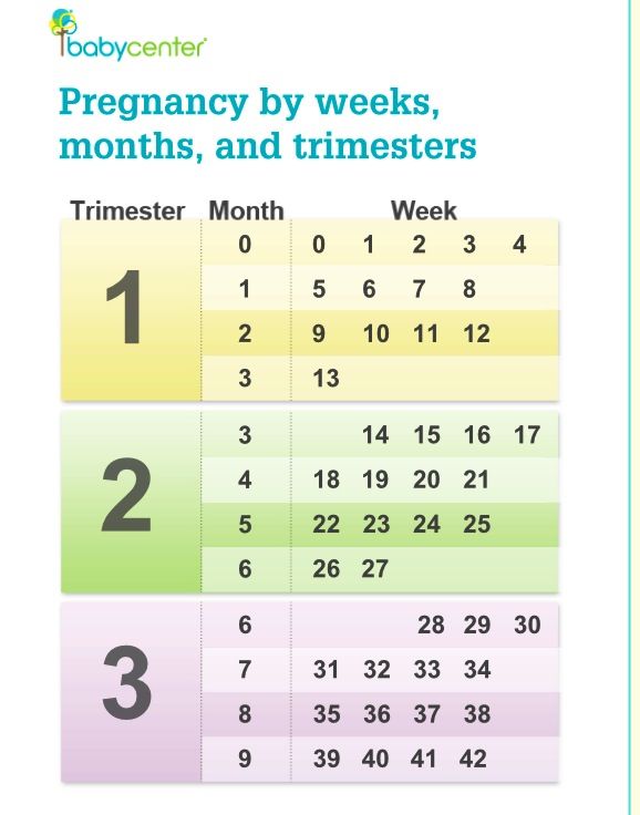 Pregnancy Chart