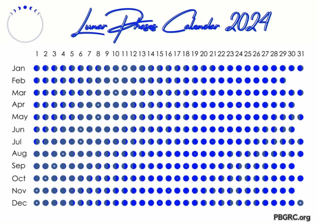 Yearly 2024 Moon Phases