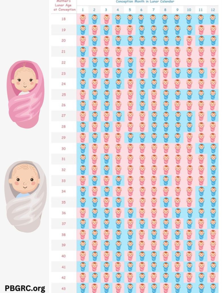 chinese birth calendar for baby boy