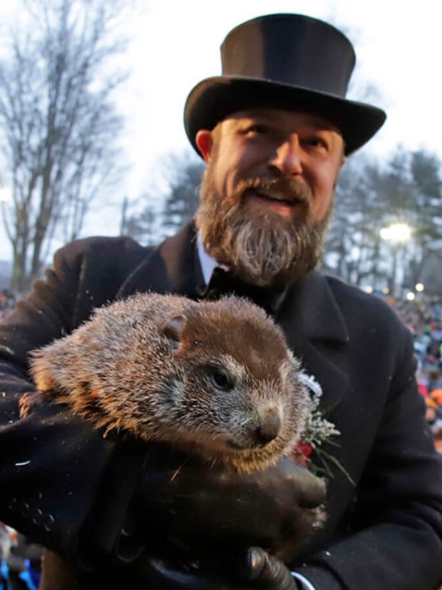 How Groundhog Day came to the U.S. — and why we still celebrate it 137 years later