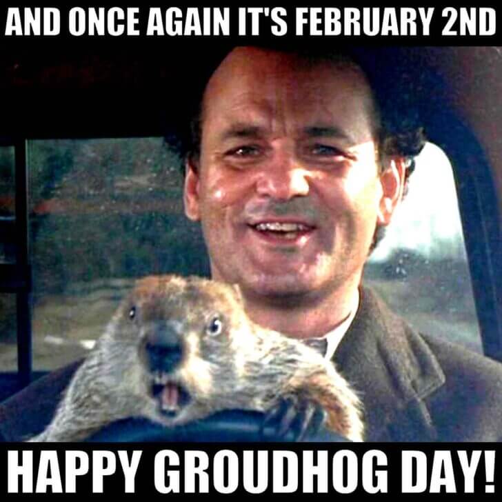 february 2 groundhog day meme