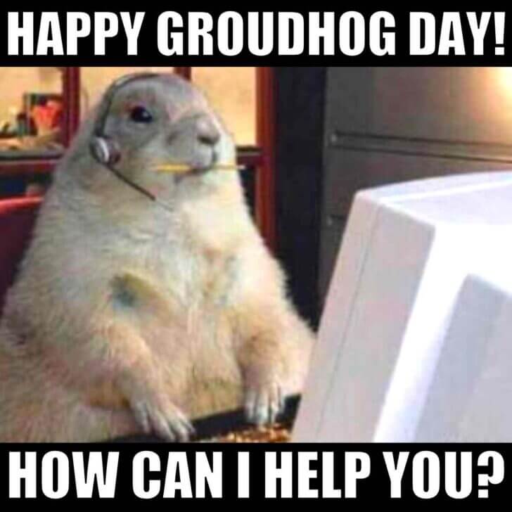 groundhog day meme