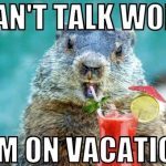 groundhog on vacation meme