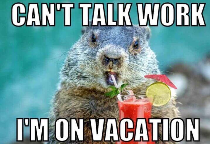 groundhog on vacation meme
