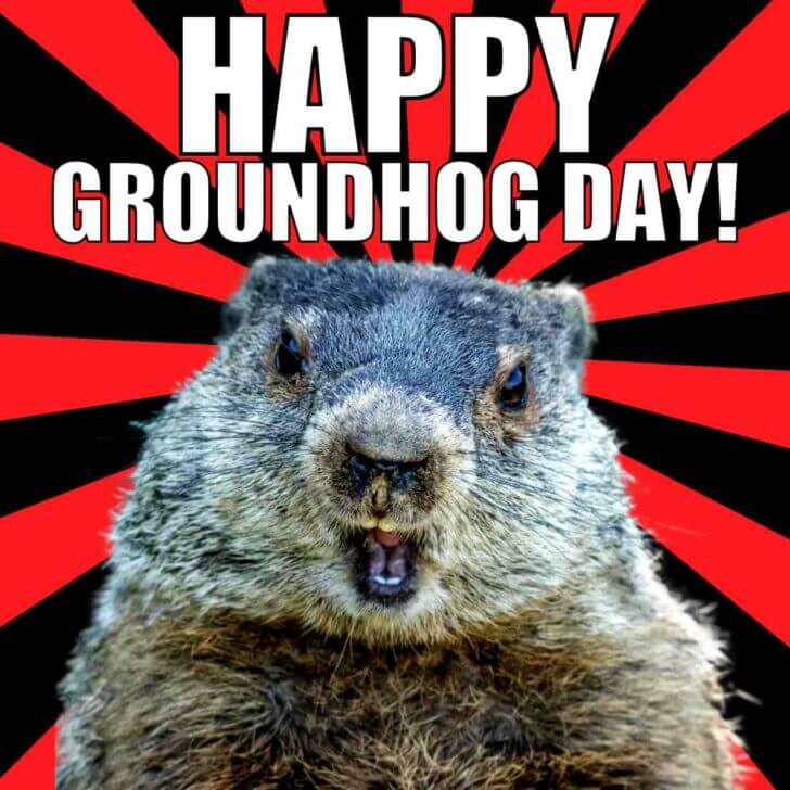 happy groundhog day 2023 meme