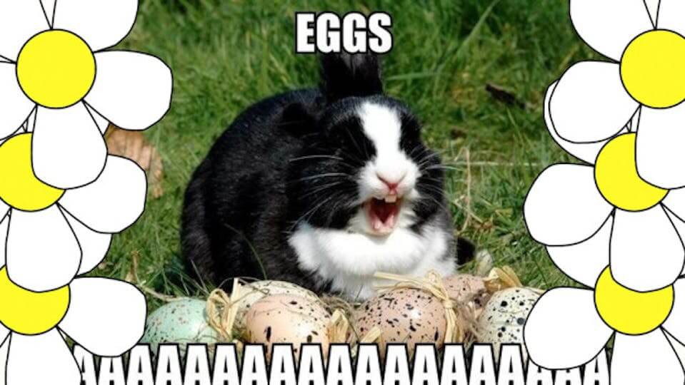 Easter Memes Funny