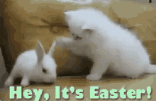 Funny Easter Cute Gif
