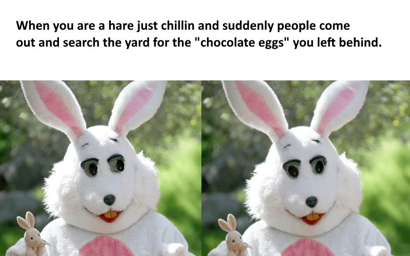 Happy Easter Memes