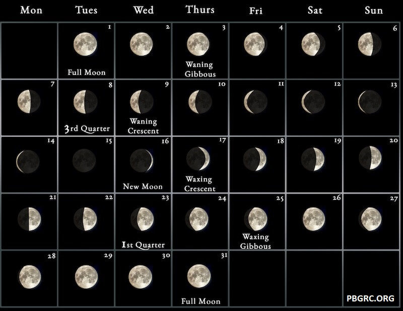 June Calendar 2023 Lunar Phases