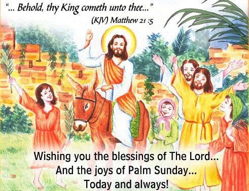 Wishing You The Blessings Of The Lord Happy Palm Sunday